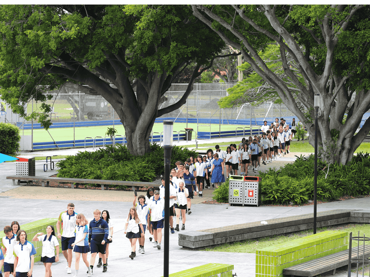 Long line of students weaving through the playground beneath two large fig trees