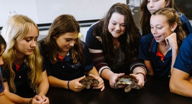 Teacher and students holding turtles